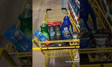 $4 DOLLAR GENERAL HAUL (SAVED $27!!) Dollar General Digital Couponing #dollargeneralcouponing