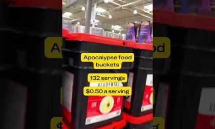 We Found the Apocalypse Food Buckets at Costco!