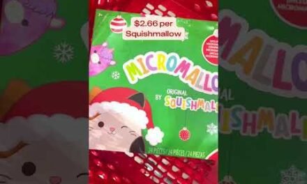 We Found the Squishmallows Advent Calendar!