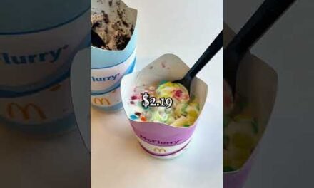 Is the new Mini McFlurry a Good Deal? #mcdonalds #mcdonaldshacks #mcflurry #dealhunter