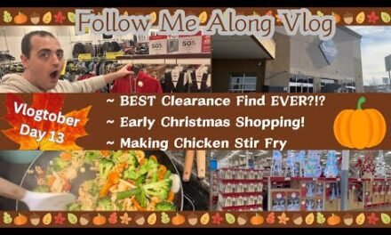 BEST CLEARANCE FIND EVER?!? ~ EARLY CHRISTMAS SHOPPING ~ MAKING CHICKEN STIR FRY ~ VLOGTOBER DAY 13