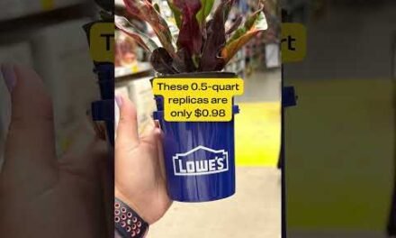 We Found the Viral Lowe’s Mini Buckets!