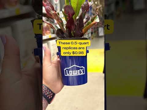 We Found the Viral Lowe’s Mini Buckets!
