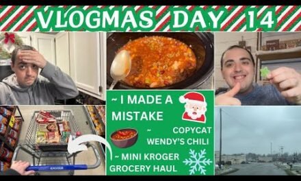 I MADE A MISTAKE 😭😭😭  ~ MINI KROGER GROCERY HAUL ~ COPYCAT WENDY’S CHILI RECIPE ~ VLOGMAS DAY 14