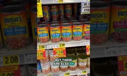 Feeding My Family for Under $10 at Ingles – Budget Grocery Shopping   #groceryhaulonabudget