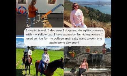 Hi! A lot has changed in the past year so I wanted to reintroduce myself! My name is Bree and I LOVE