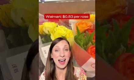 I Found the CHEAPEST Valentine’s Roses! (Grocery Store Hack)