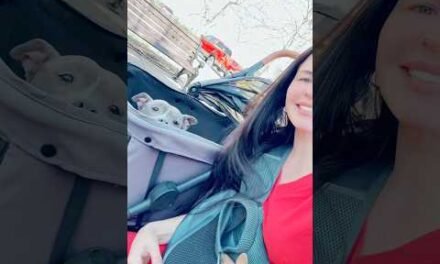 Amazon Music is FREE for 3 MONTHS! #amazonmusicpartner