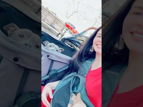 Amazon Music is FREE for 3 MONTHS! #amazonmusicpartner