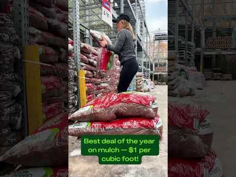 Lowe’s $2 mulch is HERE and the 5 for $10 deal is LIVE!