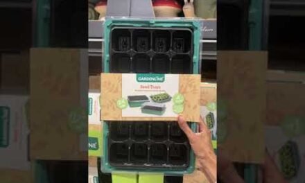 🔍This Week’s Aldi Finds: Love It👍or Leave It👎 Edition!