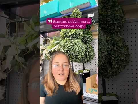 This $35 Find is Flying Off The Shelves! (Link in comments)