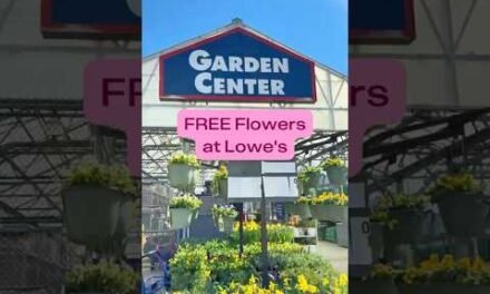 Get FREE Spring Flowers at Lowe’s! 🌸
