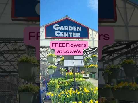 Get FREE Spring Flowers at Lowe’s! 🌸