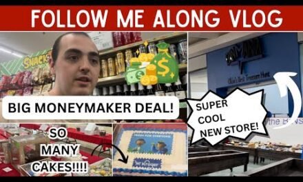 A BIG MONEYMAKER DEAL! ~ CHECKING OUT A SUPER COOL NEW STORE ~ THEY HAD SO MANY CAKES ~ VLOG