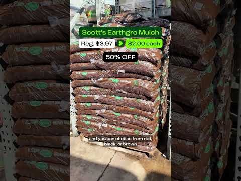 READY FOR THIS? Home Depot Spring Sale Starts Today! 🌸