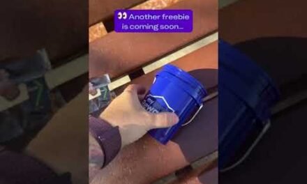 Another Round of Lowe’s Freebies Just Hit—Here’s What We Got