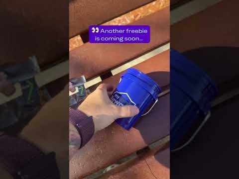 Another Round of Lowe’s Freebies Just Hit—Here’s What We Got