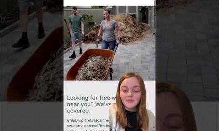 30 Days of Savings Day 5