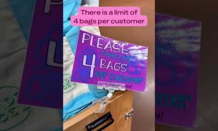 🔥 NEW Trader Joe’s Mini Canvas Tote Bags Only $2.99