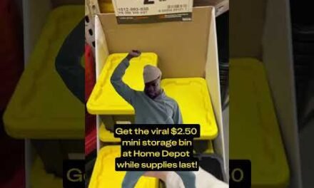 The VIRAL $2.50 Mini Storage Bin at The Home Depot