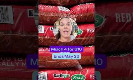 🚨 Limited Time Deal! 🚨 $2.50 Mulch at Home Depot for Memorial Day Sale