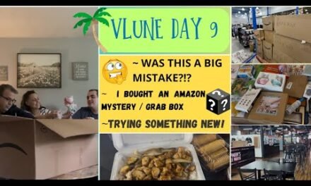 WAS THIS A BIG MISTAKE?!? ~ I BOUGHT AN AMAZON MYSTERY / GRAB BOX ~ TRYING SOMETHING NEW ~ VLUNE 9