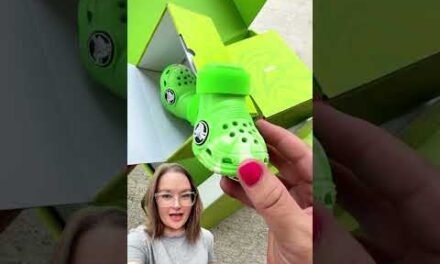 FREE Dog Crocs With BarkBox? 🐾 Yep — Your Pup’s First Box Is Just $27