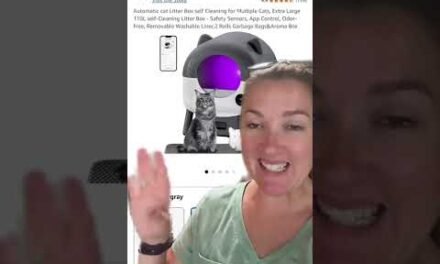 10 Amazon Promo Code deals! 6/23 65% off! Link in bio Click Amazon Deals Or