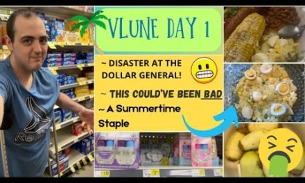 DISASTER AT THE DOLLAR GENERAL! ~ THIS COULD’VE BEEN BAD ~ A SUMMERTIME STAPLE ~ VLUNE DAY 1