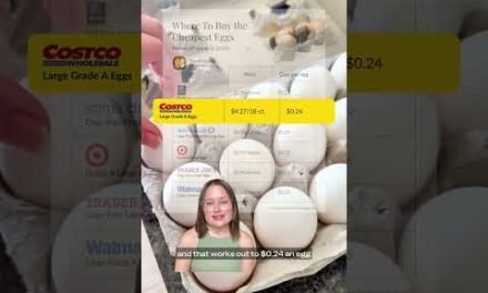 Weekly Egg Report | Egg Prices, Coupons, and More! 🍳