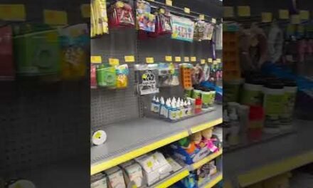 ✨Walmart Clearance Finds! What did you score? #walmartclearance #clearancefinds #clearancedeals