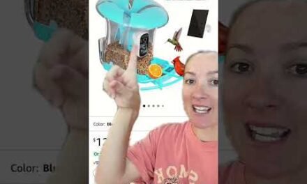 Best Amazon Deals up to 60% OFF! 7/14 Link in bio Click Amazon Deals Or