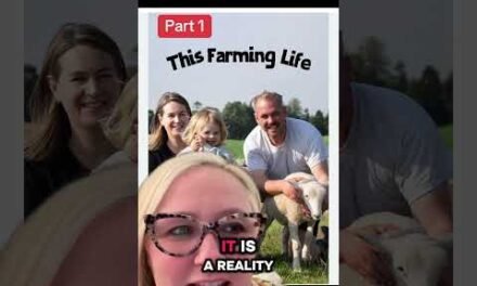 This Farming Life is an awesome show on BritBox.
