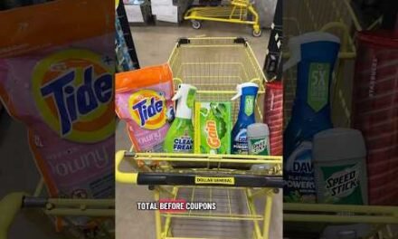 Dollar General Saturday Deal 8/23! Tide,Gain, Mr. clean & Dawn! Stacking DG Store Coupons! #dgdeals