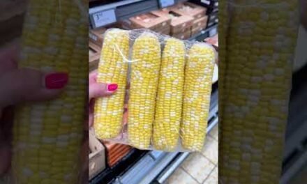 Aldi Prices Win Again! 💸🤑