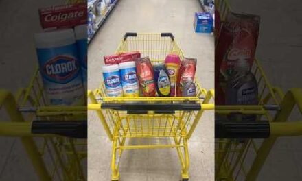 $10 CLEANING HAUL @ Dollar General Couponing 10/13-10/18! Dollar General Deals!