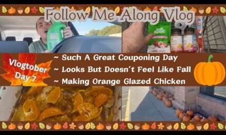 SUCH A GREAT COUPONING DAY ~ LOOKS BUT DOESN’T FEEL LIKE FALL ~ ORANGE GLAZED CHICKEN ~ VLOGTOBER 7