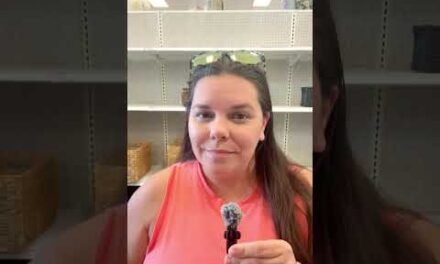 This New Target in Florida Is the Size of a Costco — But It’s missing a lot!