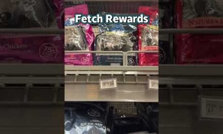 RUnN deal at Walmart on dog food! 10/28 only! #walmartdeals #dogfooddeals #petdeals #saveatwalmart