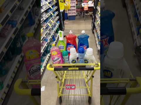 $12.50 FROM $35.50 Couponing at Dollar General 11/15! #dollargeneralcouponing