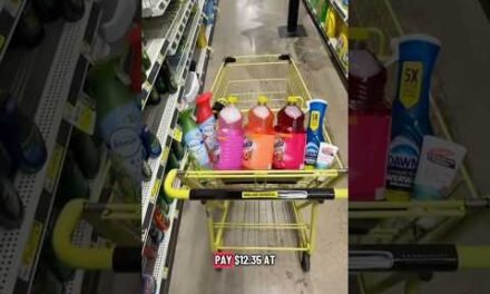 Dollar General Couponing Haul 11/3-11/8! From $30 down to $12! 11/8 Dollar General Deals