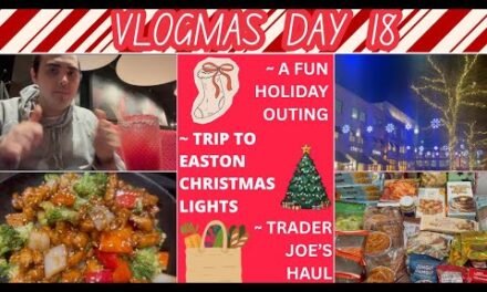 A FUN HOLIDAY OUTING! ~ TRIP TO EASTON CHRISTMAS LIGHTS ~ TRADER JOE’S HAUL ~ VLOGMAS DAY 18
