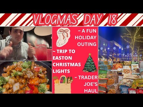 A FUN HOLIDAY OUTING! ~ TRIP TO EASTON CHRISTMAS LIGHTS ~ TRADER JOE’S HAUL ~ VLOGMAS DAY 18