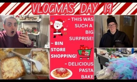 THIS WAS SUCH A BIG SURPRISE! ~ BIN STORE SHOPPING HAUL ~ DELICIOUS PASTA BAKE ~ VLOGMAS DAY 19