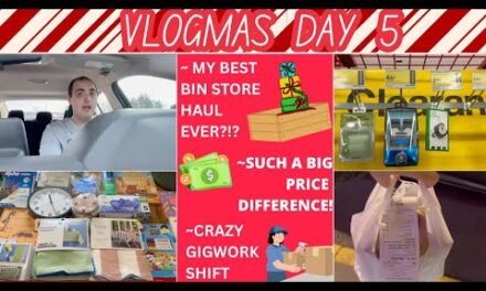 MY BEST BIN STORE HAUL EVER?!? ~ SUCH A BIG PRICE DIFFERENCE ~ CRAZY GIGWORK SHIFT ~ VLOGMAS DAY 5