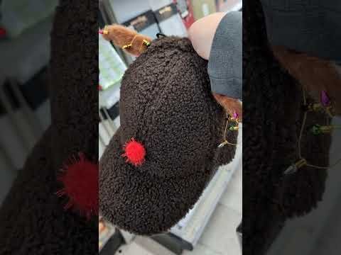 MEIJER 90% Off Christmas Clearance #meijer #meijercoupondeals #shorts