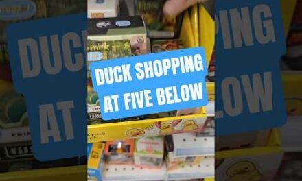 Looking for some ducks at Five Below. 3 different locations and no Cat in the Hat Ducks