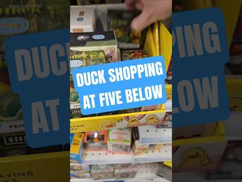 Looking for some ducks at Five Below. 3 different locations and no Cat in the Hat Ducks
