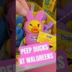 Peep ducks at Walgreens and Yes I did find some later at Target too. They are so cute #duckalooz